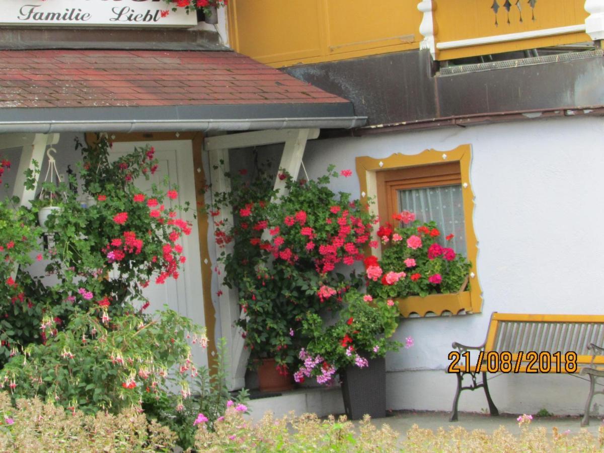 Apartments Bei Familie Liebl Sankt Oswald-Riedlhuette Kültér fotó